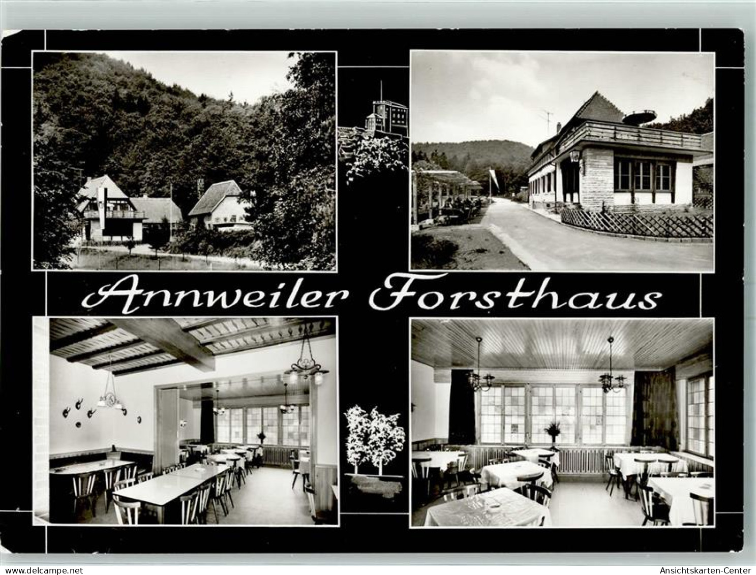 10443408 - Annweiler Am Trifels - Sonstige & Ohne Zuordnung