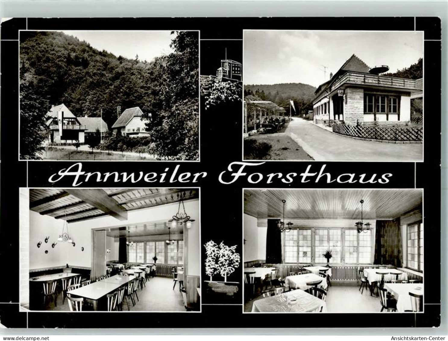 10443408 - Annweiler Am Trifels - Other & Unclassified