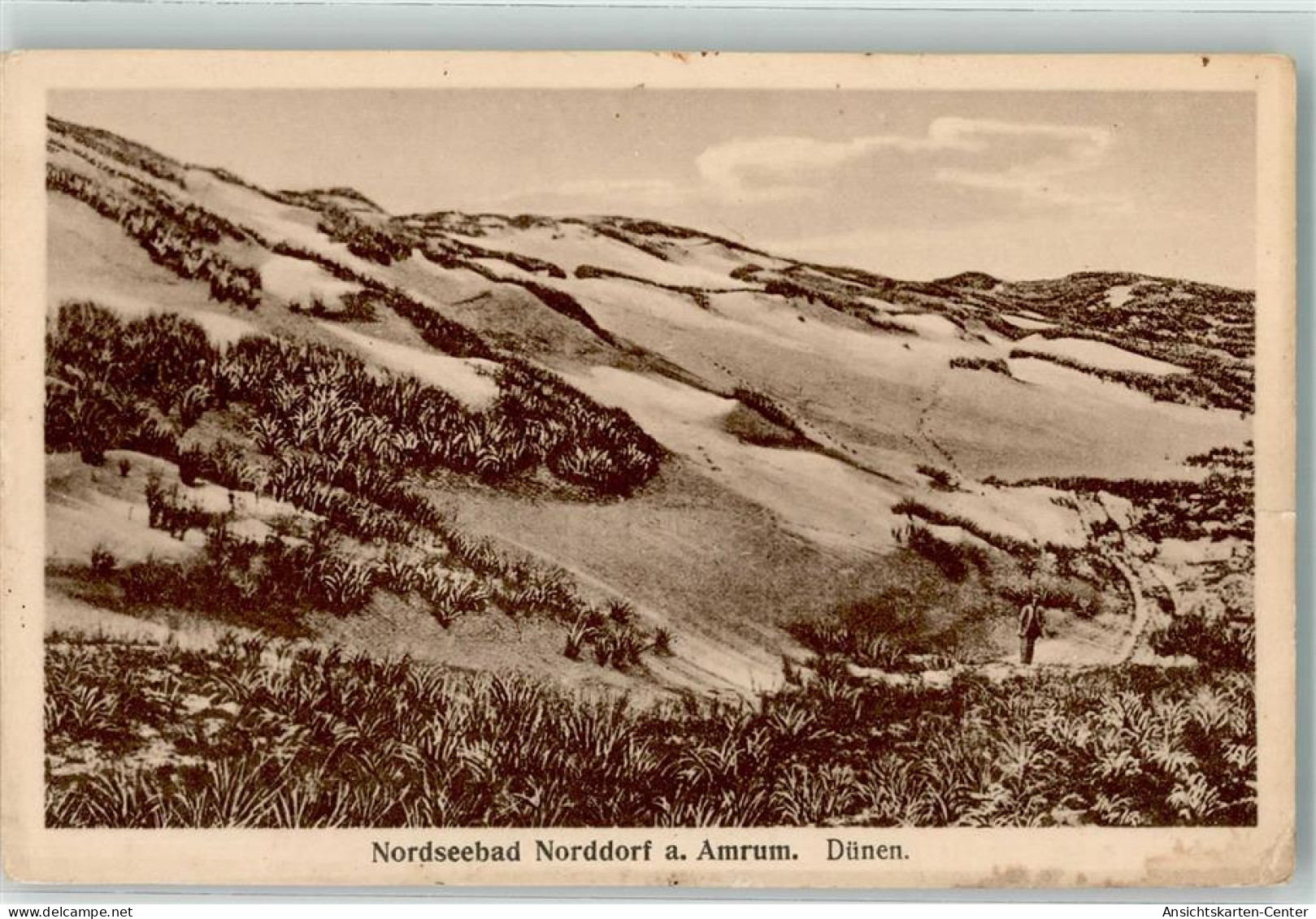 39556608 - Norddorf , Amrum - Autres & Non Classés