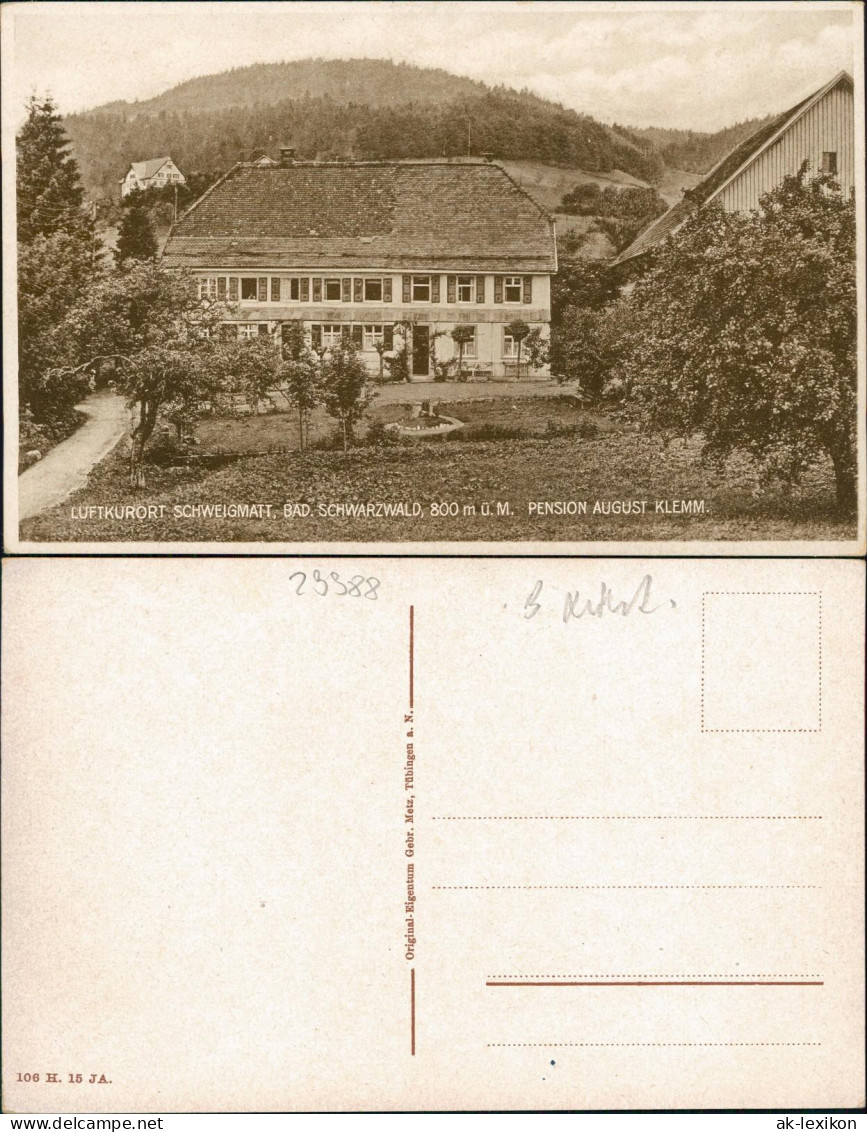 Ansichtskarte Raitbach-Schopfheim Pension August Klemm 1929 - Schopfheim