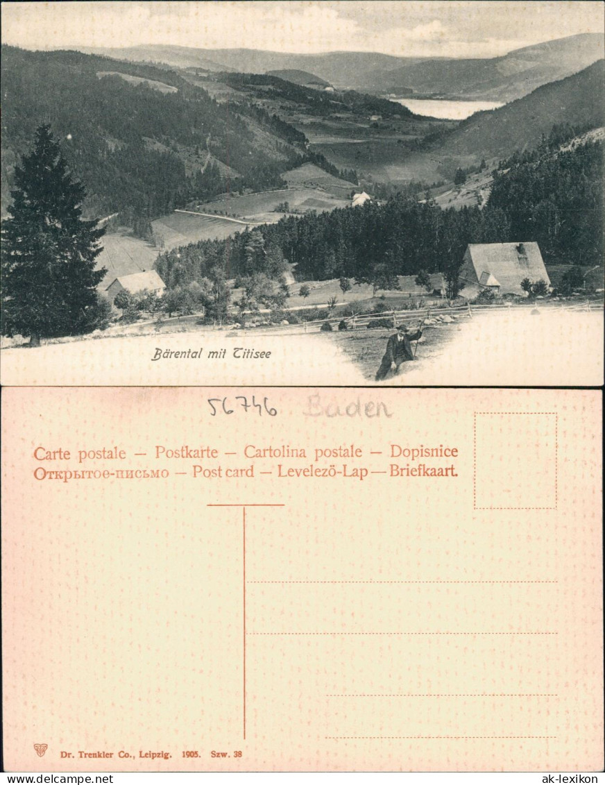 Ansichtskarte Titisee Bärental 1905 - Other & Unclassified