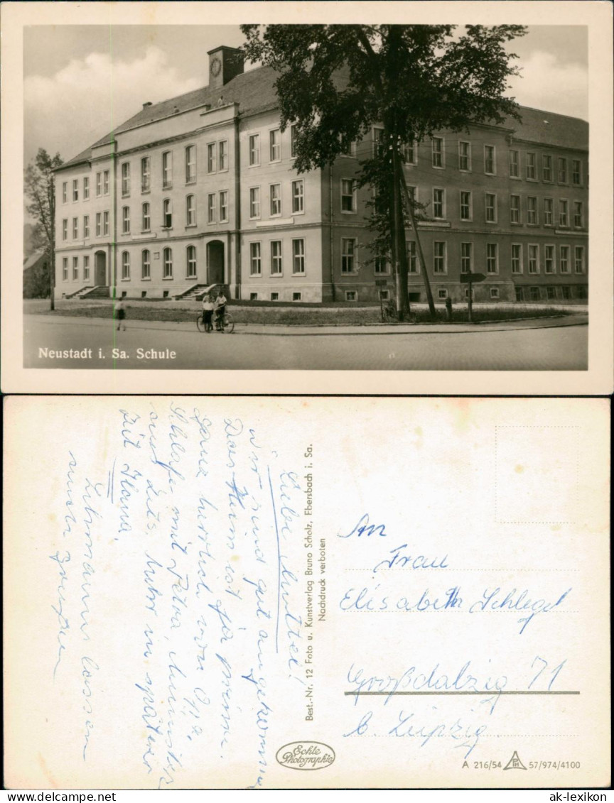 Ansichtskarte Neustadt (Sachsen) Schule 1954 - Neustadt