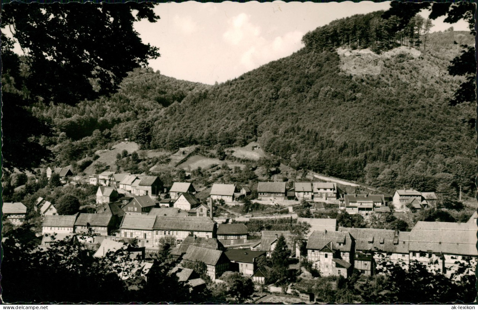 Ansichtskarte Zorge Blick V. Rundweg Auf Oberzorge 1958 - Autres & Non Classés