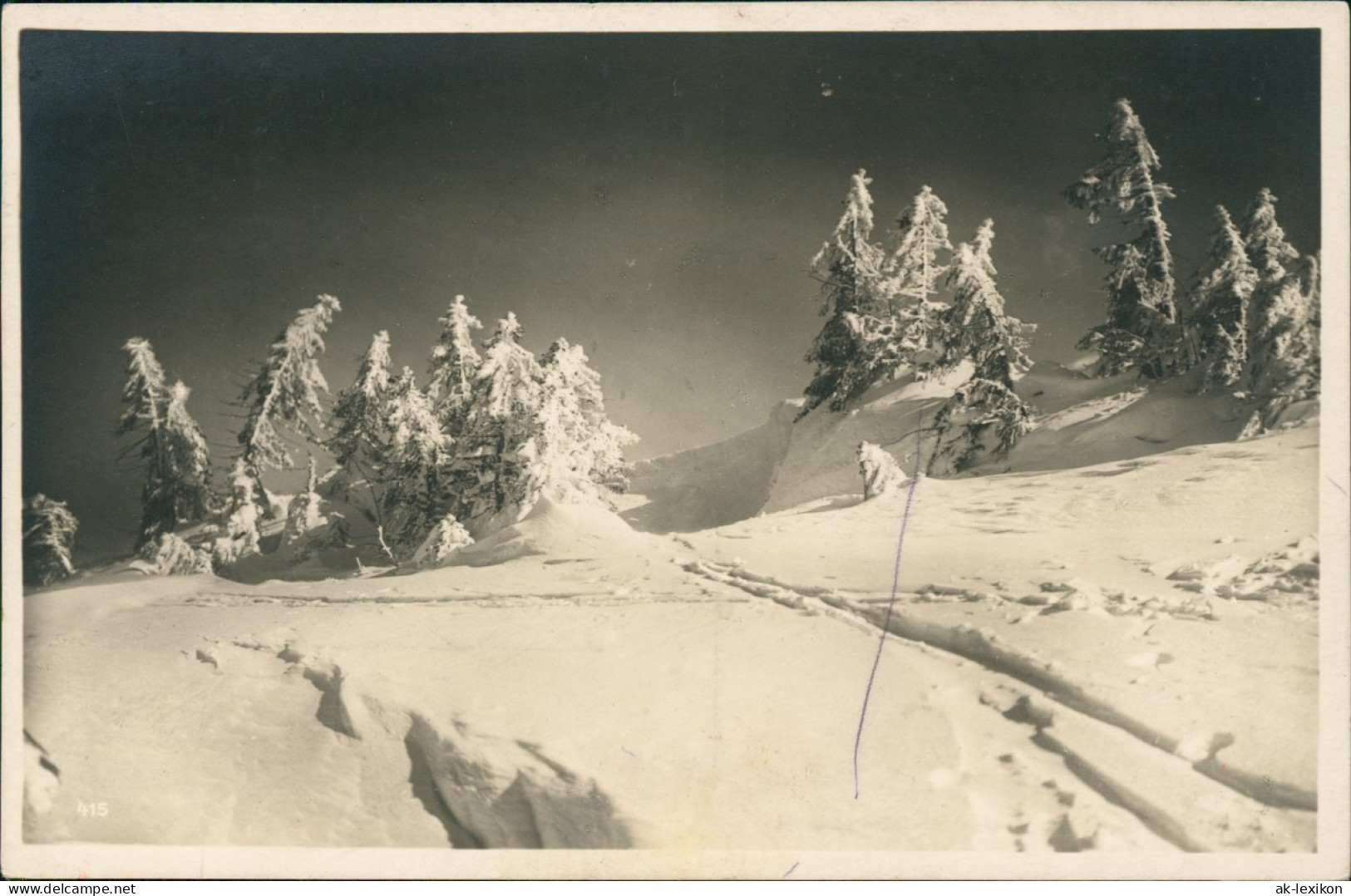 Feldberg (Schwarzwald) Vereiste Wettertannen Im Grüble Feldberg - Fotokarte 1928 - Feldberg