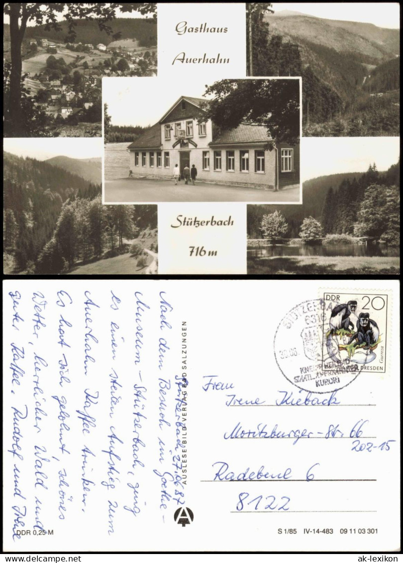 Ansichtskarte Stützerbach Gasthaus Auerhahn 1985 - Autres & Non Classés