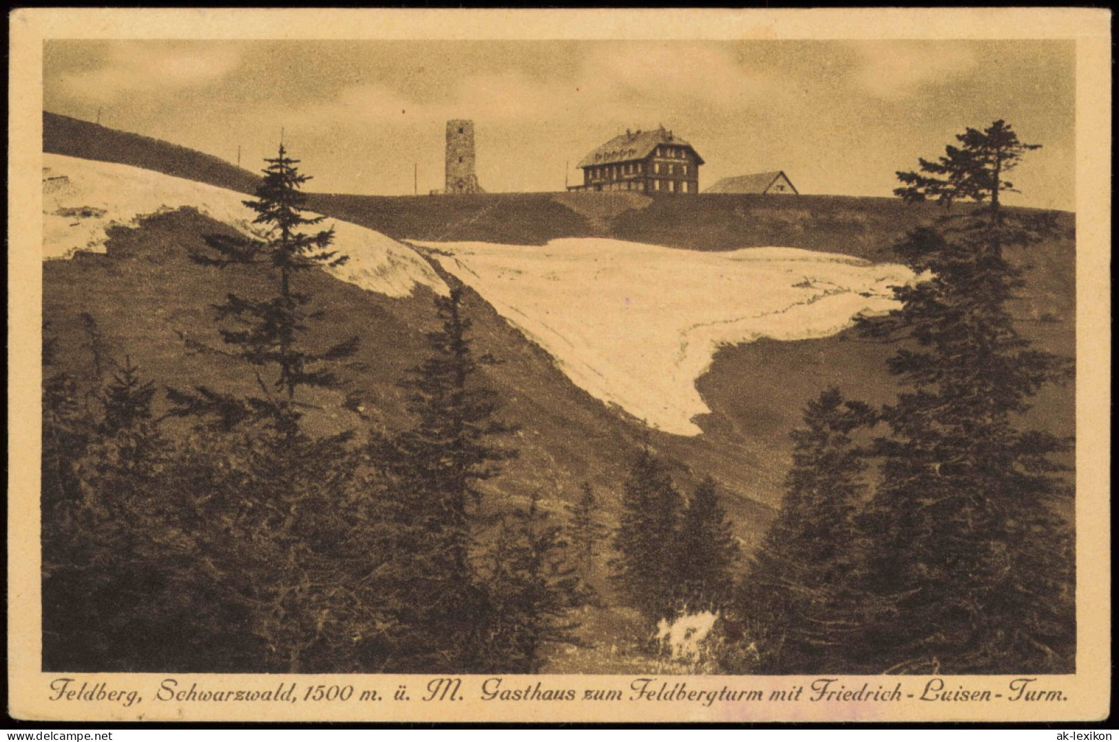 Feldberg Schwarzwald Gasthaus Zum Feldbergturm Mit Friedrich-Luisen-Turm 1923 - Feldberg