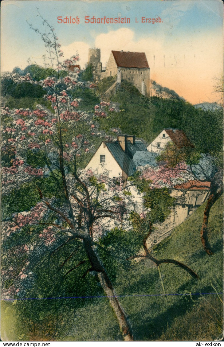 Scharfenstein-Drebach (Erzgebirge) Schloss, Baumblüte - Colorierte AK 1912 - Autres & Non Classés
