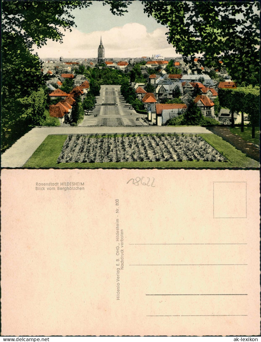 Ansichtskarte Hildesheim Blick Vom Berghölzchen 1962 - Hildesheim