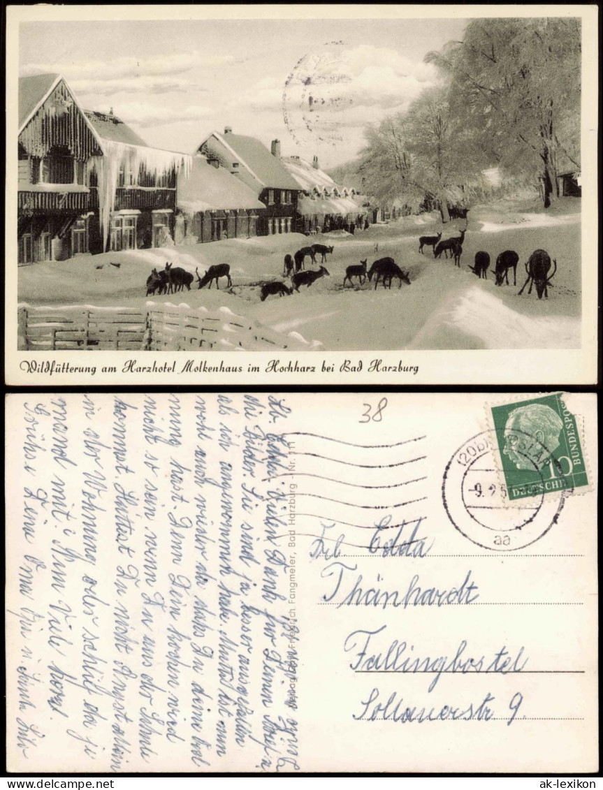 Ansichtskarte Bad Harzburg Im Winter Molkenhaus Wildtierfütterung 1957 - Bad Harzburg