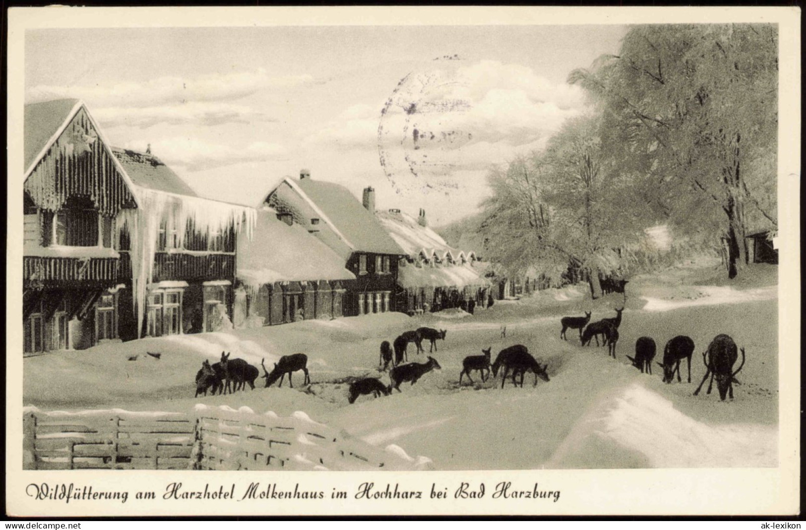 Ansichtskarte Bad Harzburg Im Winter Molkenhaus Wildtierfütterung 1957 - Bad Harzburg