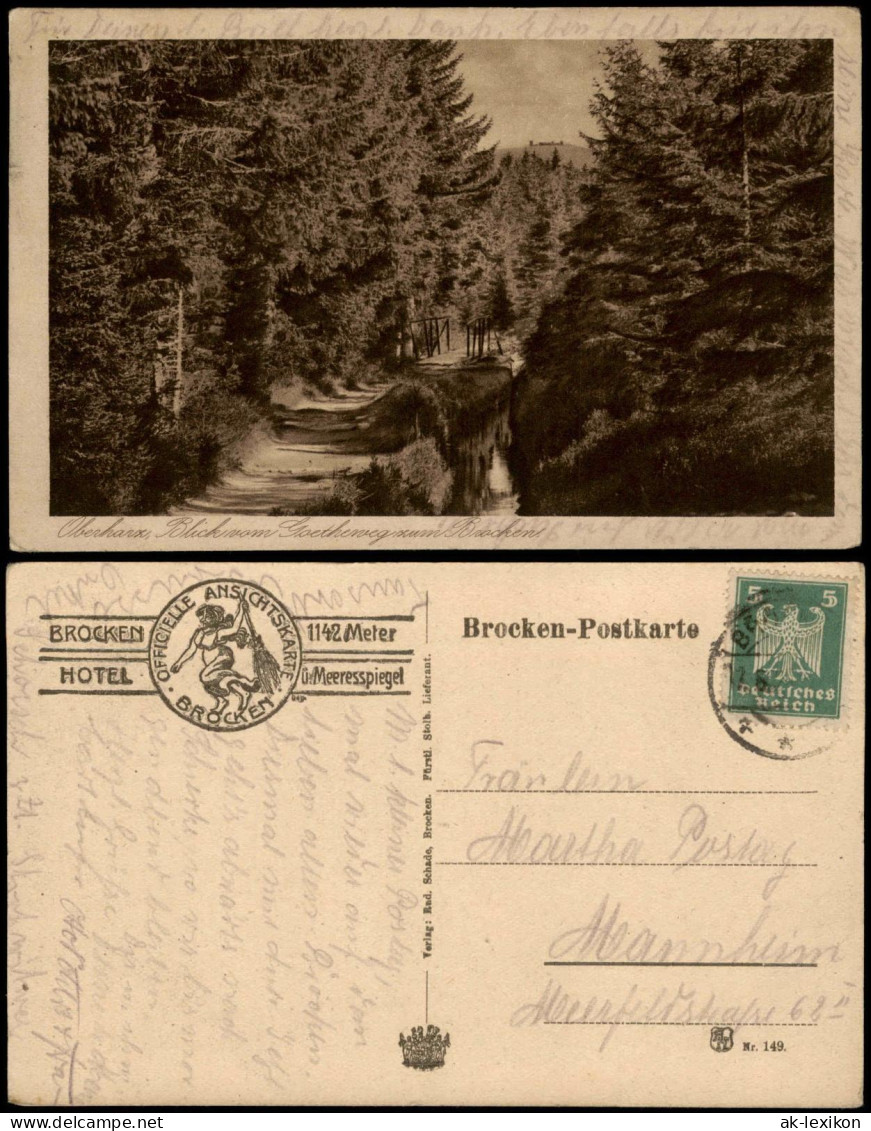 Ansichtskarte Ilsenburg (Harz) Oberharz Blick Vom Goetheweg Zum Brocken 1924 - Andere & Zonder Classificatie
