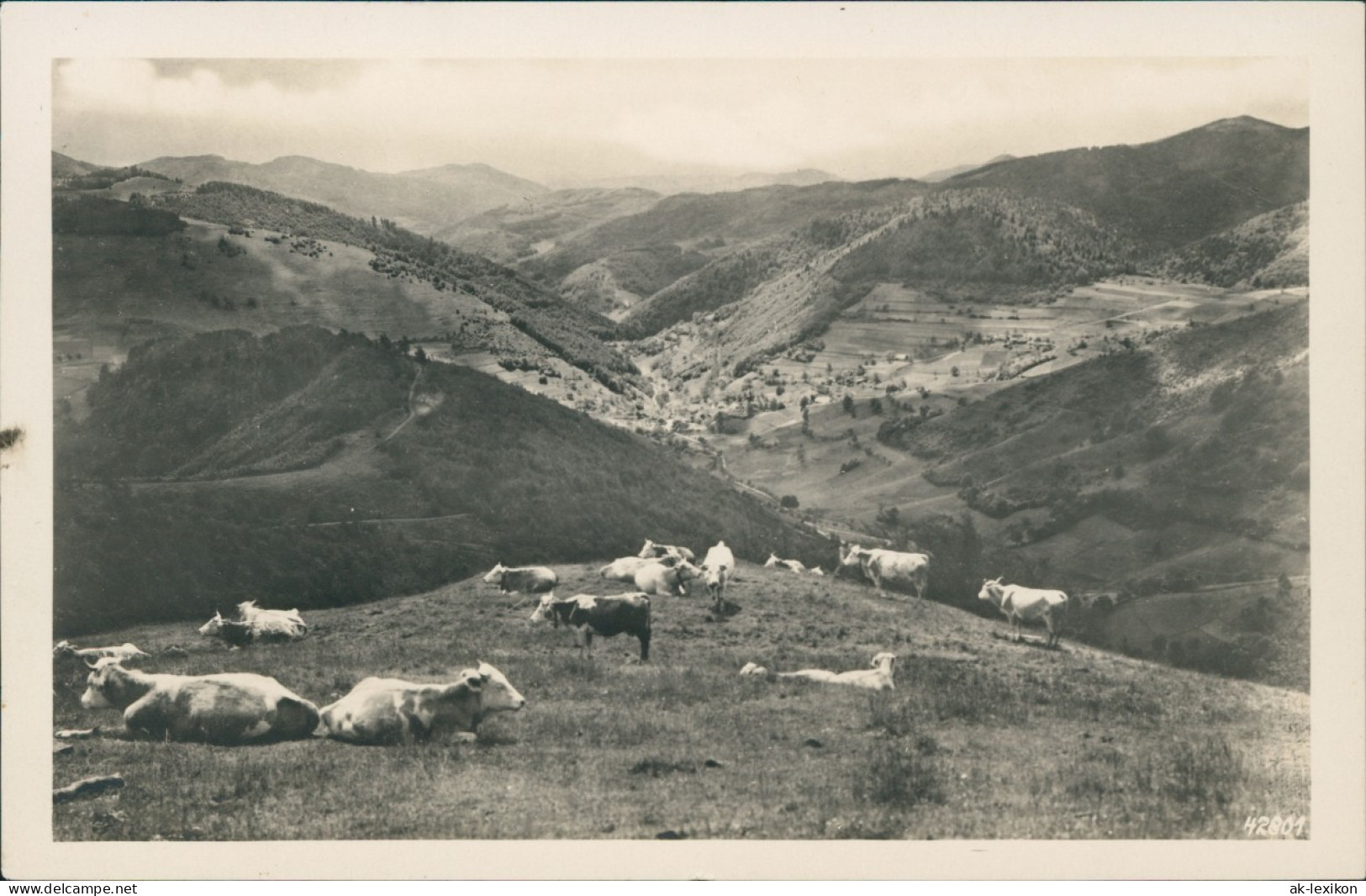 .Baden-Württemberg Belchen Nach Neuenweg Und Wiesental Schwarzwald 1931 - Andere & Zonder Classificatie