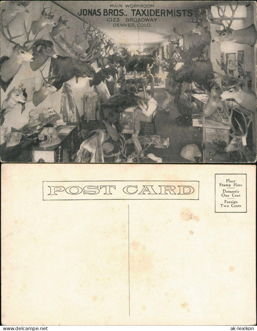Postcard Denver JONAS BROS., TAXIDERMISTS MAIN WORKROOM BROADWAY 1920 - Autres & Non Classés