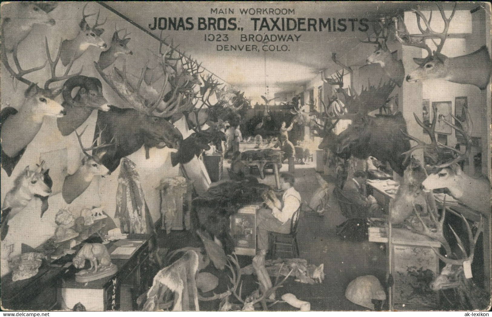 Postcard Denver JONAS BROS., TAXIDERMISTS MAIN WORKROOM BROADWAY 1920 - Other & Unclassified