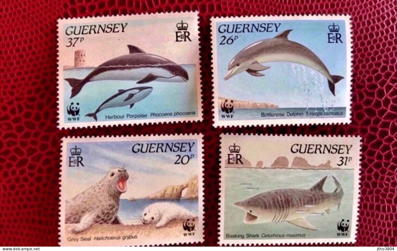 GUERNESEY 1990 WWF 4v Neuf MNH ** YT 499 500 501 502 Faune Marine Mammals Delfino Dauphin Dolphin Delfín Delfin GUERNSEY - Delfine