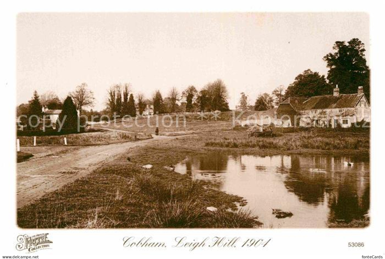 72792655 Cobham Leigh Hill 1904 Repro Francis Frith Collection  - Surrey