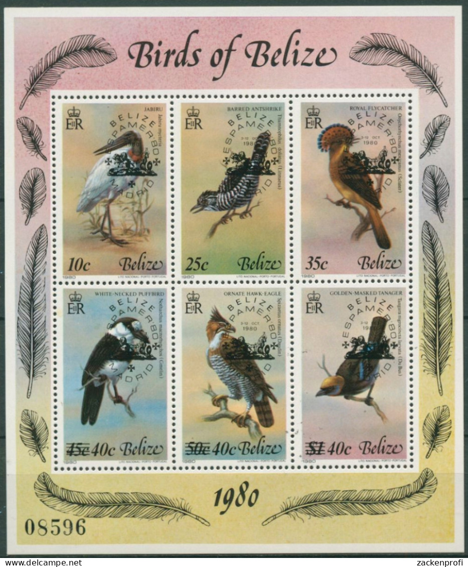 Belize 1980 Briefmarkenausstellung ESPAMER 80 Vögel Block 22 Postfrisch (C71059) - Belice (1973-...)