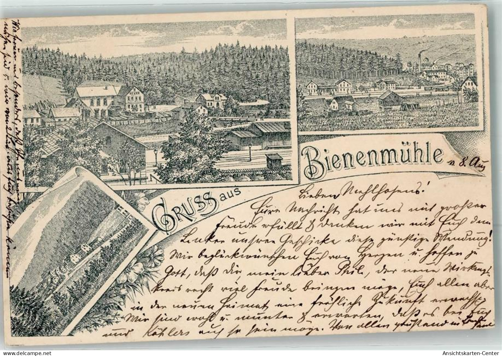 13615008 - Rechenberg-Bienenmuehle - Rechenberg-Bienenmühle