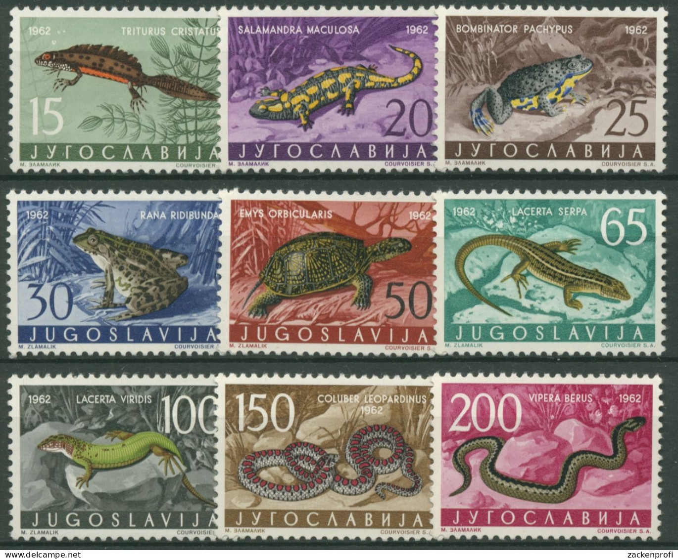 Jugoslawien 1962 Tiere Amphibien Reptilien 1007/15 Postfrisch - Unused Stamps