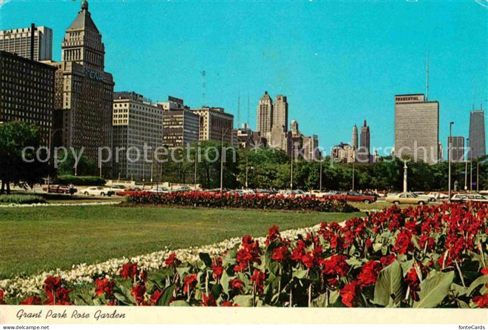 72784049 Chicago_Illinois Grant Par Rose Garden - Andere & Zonder Classificatie