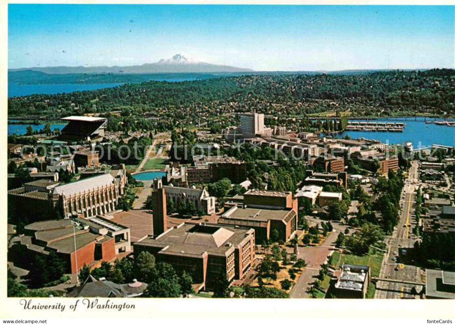 72783955 Seattle University Lake Washington Mount Rainier Aerial View - Sonstige & Ohne Zuordnung