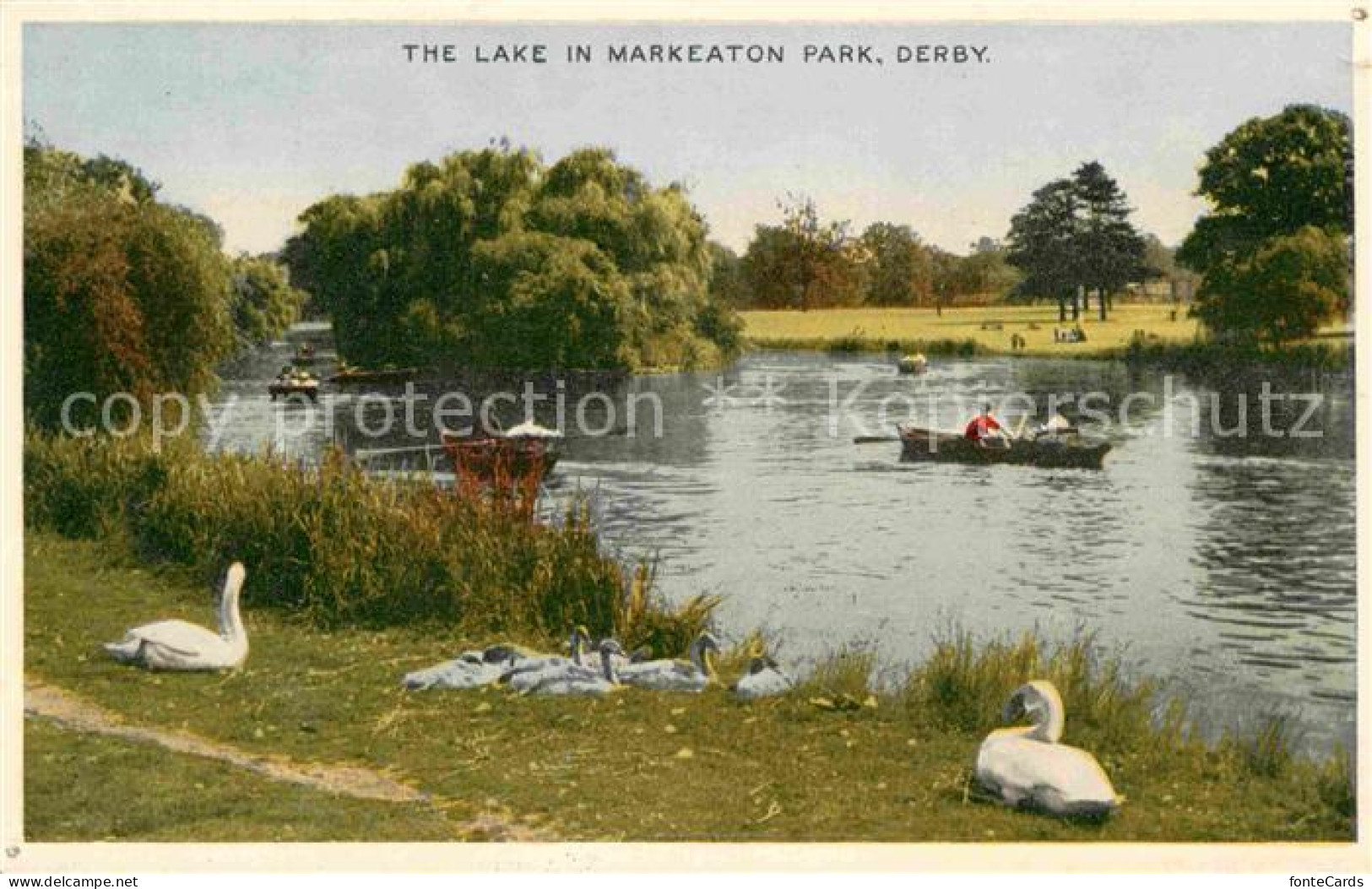 72780023 Derby Derbyshire Lake In Markeaton Park Schwaene Boote  - Autres & Non Classés