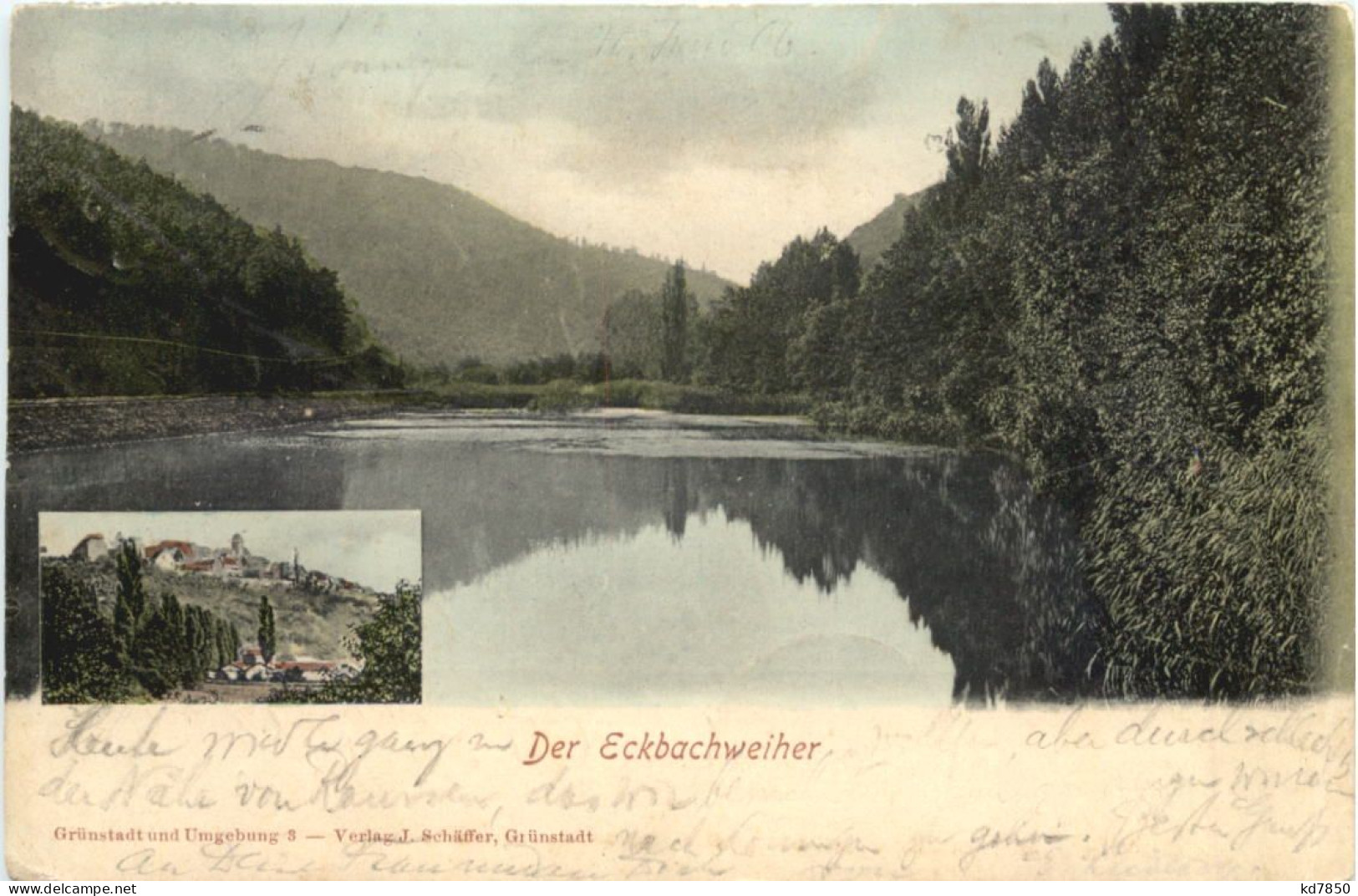 Der Eckbachweiher - Neuleiningen - Bad Duerkheim