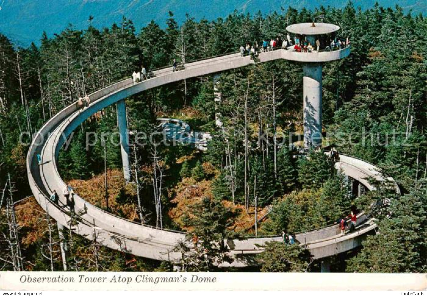 72772274 Bryson_City Atop Clingman's Dome - Andere & Zonder Classificatie