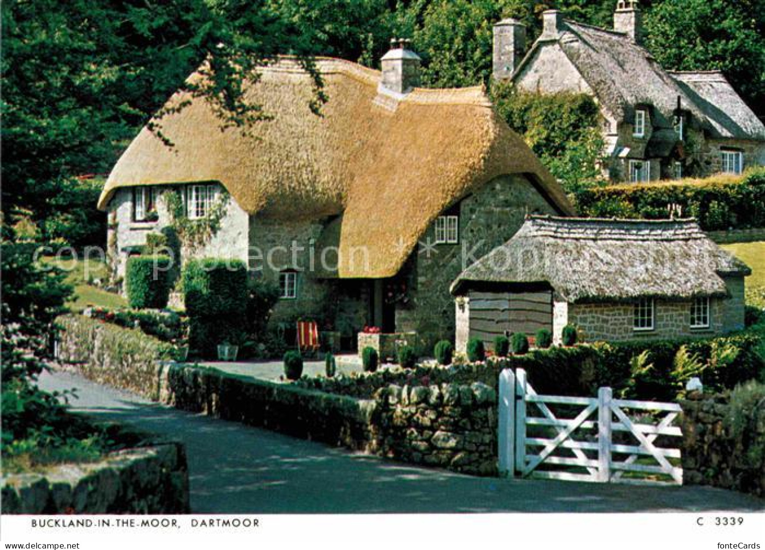 72769283 Dartmoor Buckland In The Moor  - Andere & Zonder Classificatie