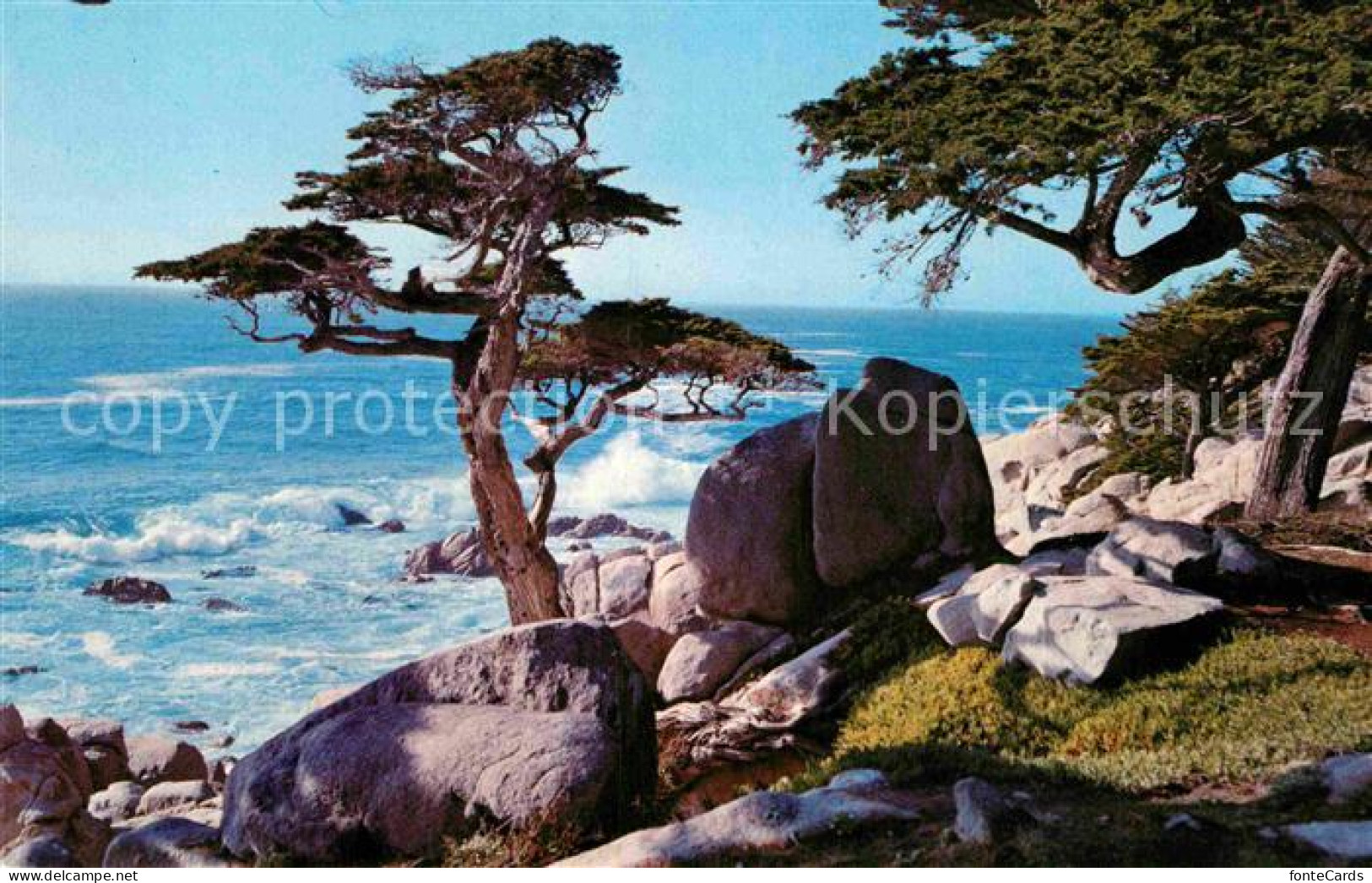 72767449 Pebble_Beach Pescadero Point Cypress - Other & Unclassified