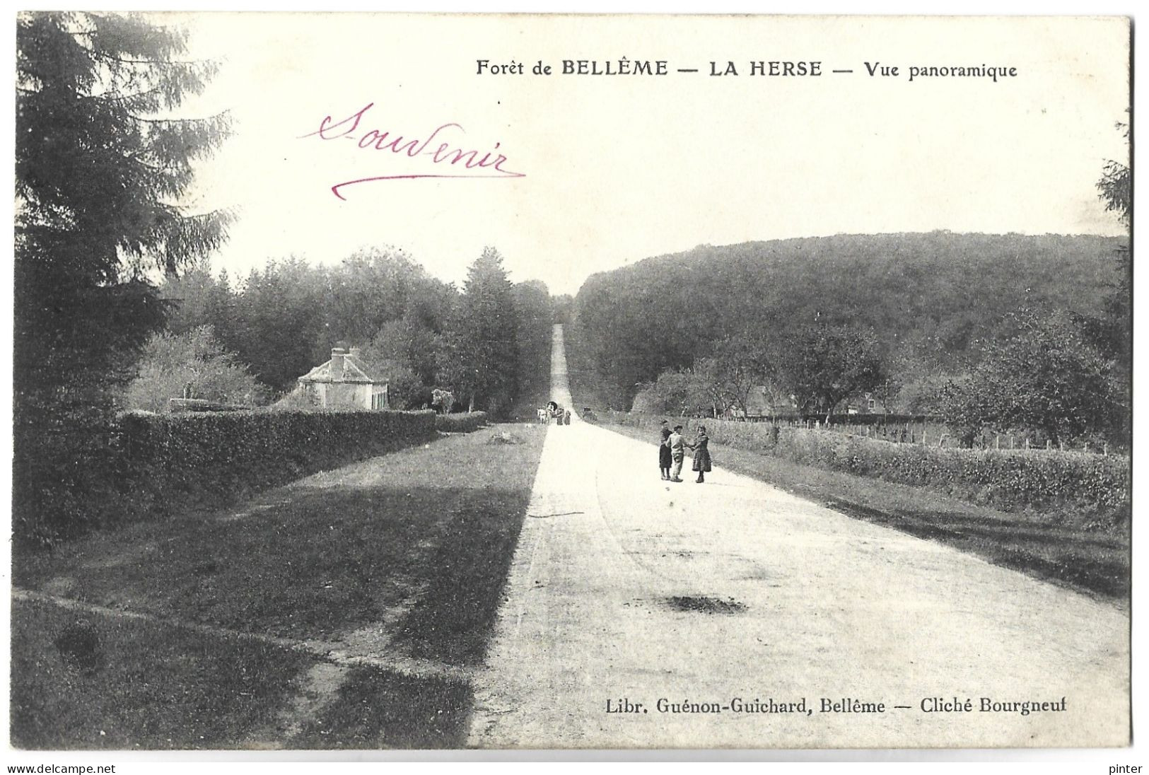 Forêt De BELLEME - LA HERSE - Vue Panoramique - Autres & Non Classés