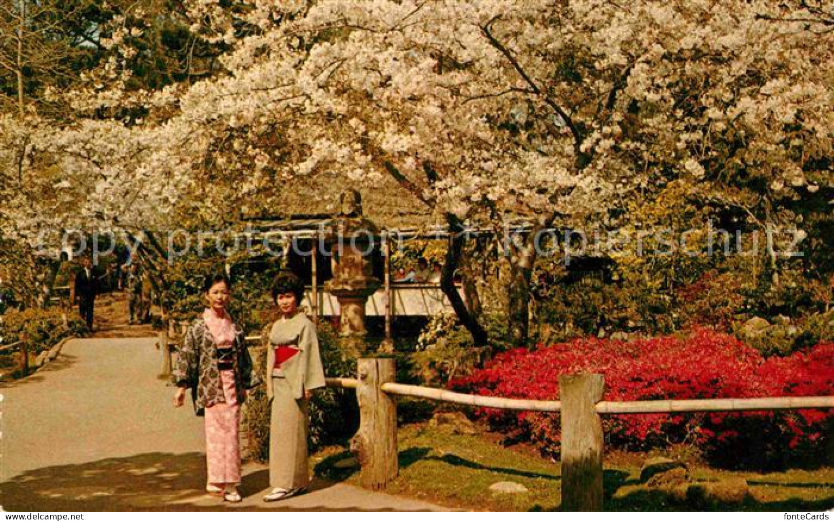 72767009 San_Francisco_California Japanese Tea Garden - Altri & Non Classificati