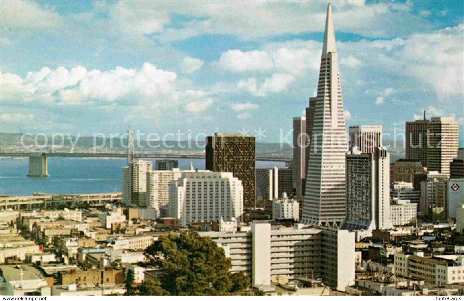 72764154 San_Francisco_California Russian Hill  - Altri & Non Classificati