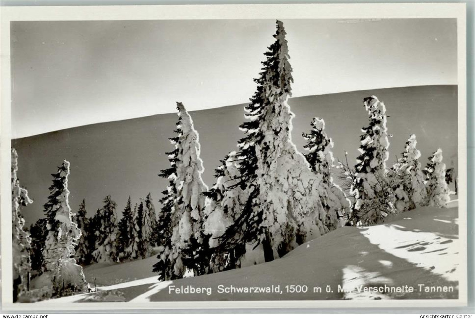 39725508 - Feldberg , Schwarzwald - Feldberg