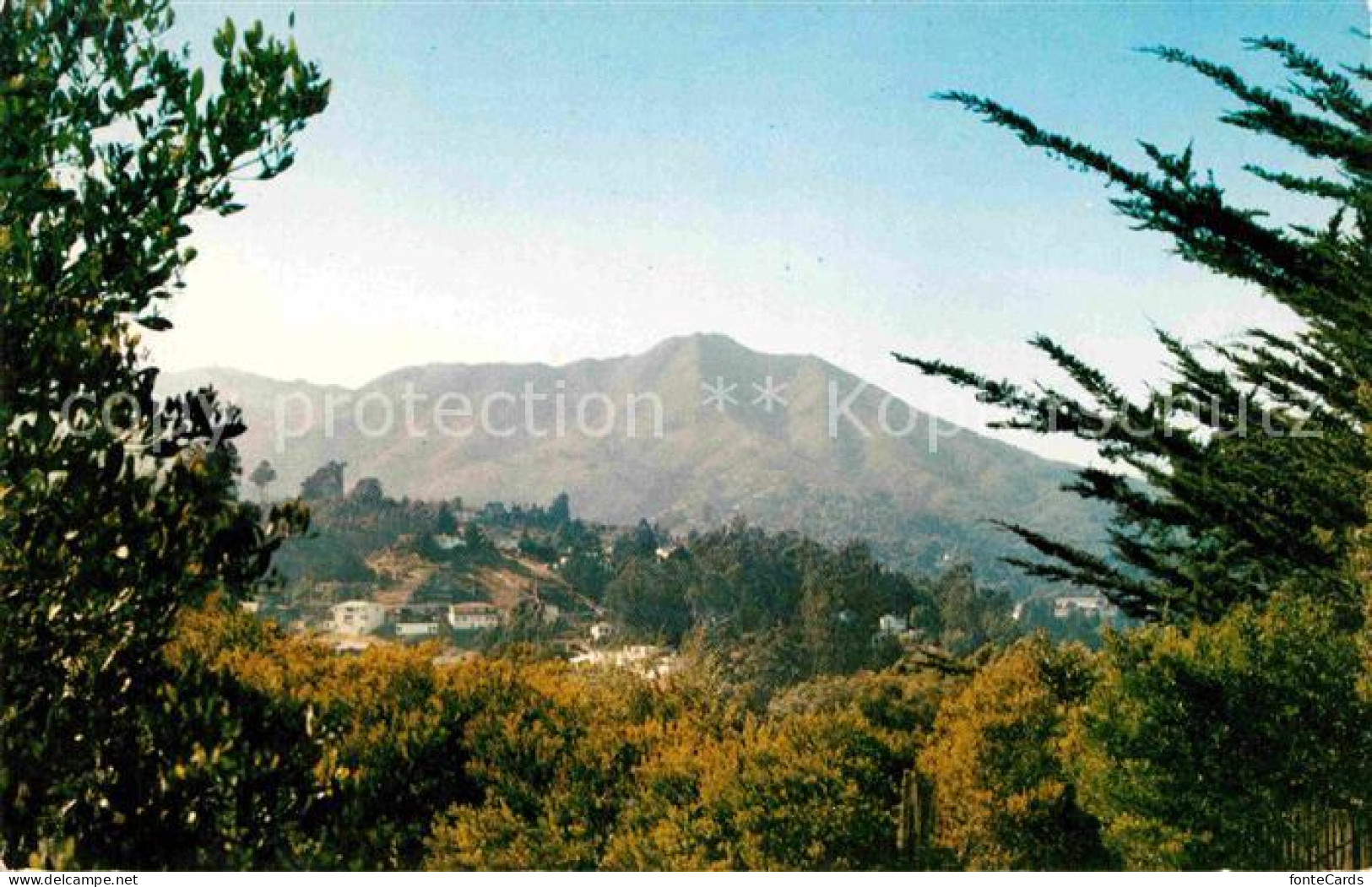 72756845 San_Rafael_California Mount Tamalpais  - Other & Unclassified