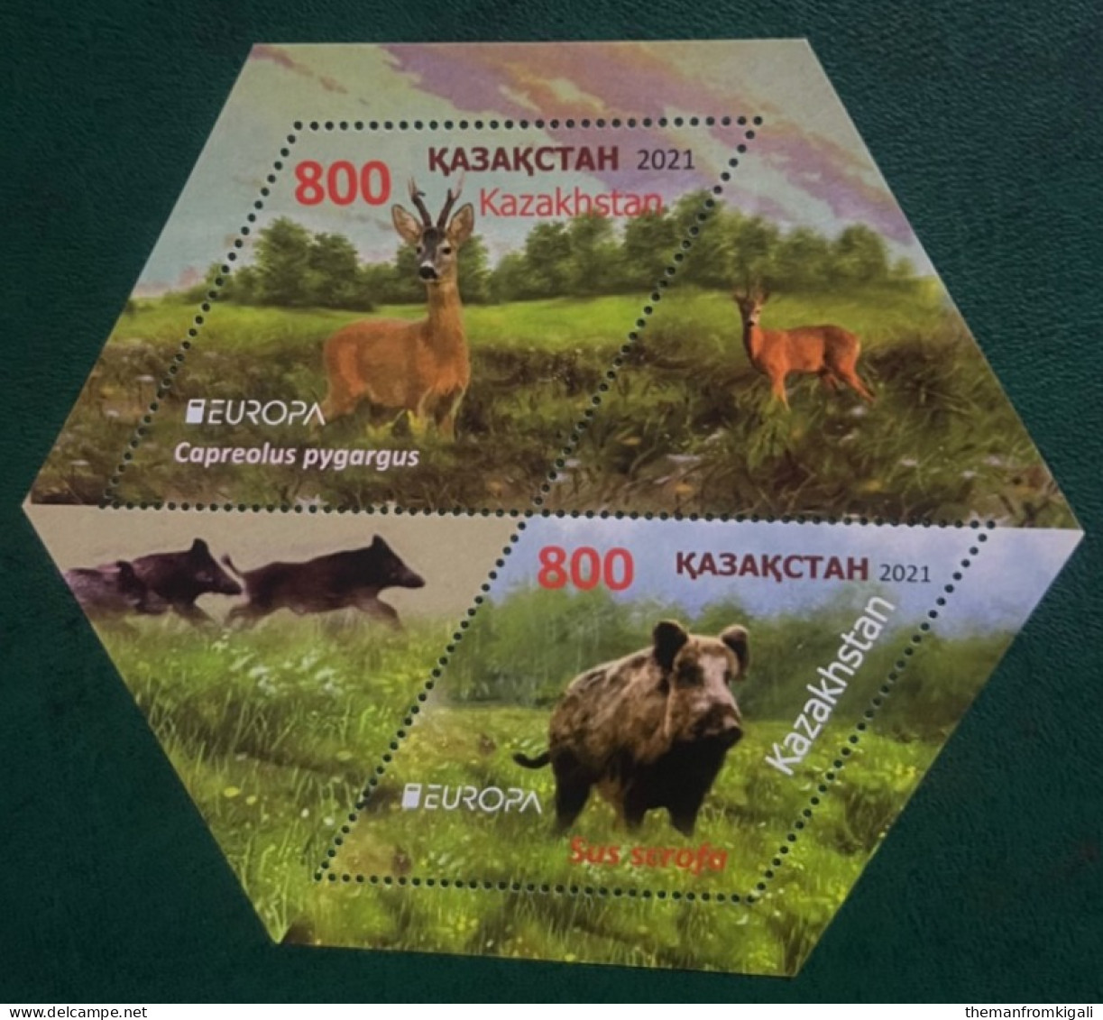 Kazakhstan 2021 - Europa Stamps - Endangered National Wildlife. - Kazakhstan