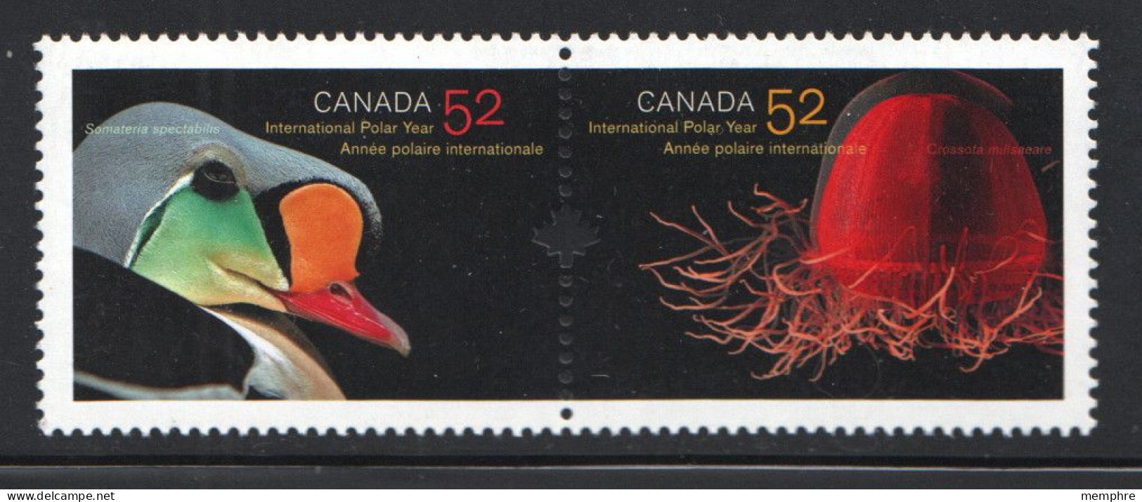 2007 International Polar Year Eider, Jellyfish Se-tenant Pair Sc 2205a MNH - Unused Stamps