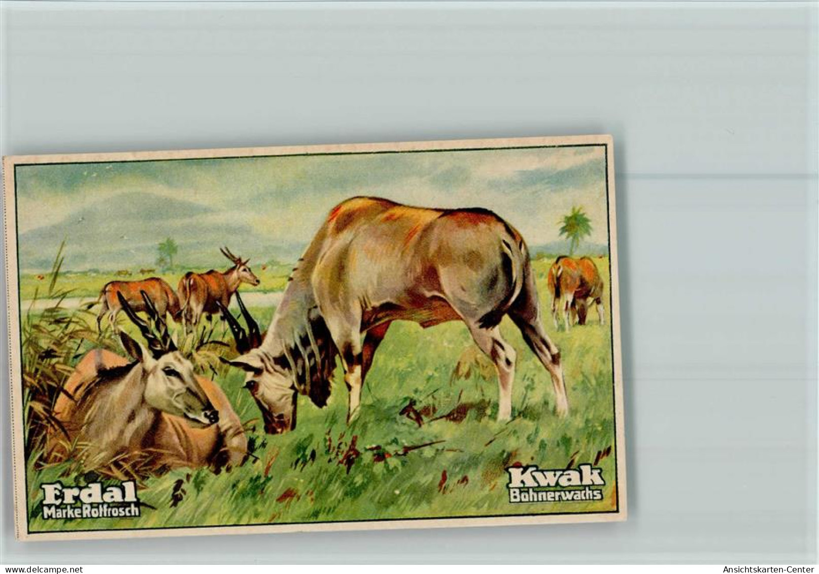 40119008 - Tiere  Erdal-Kwak Sammelbild - Altri & Non Classificati