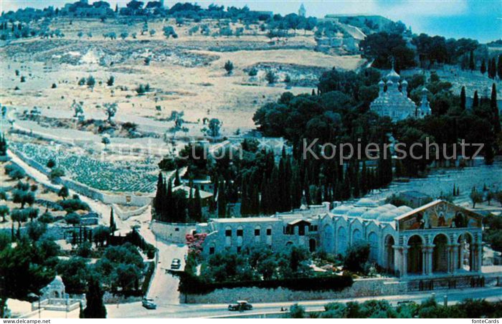 72748923 Jerusalem Yerushalayim Gethsemane Oelberg Israel - Israel