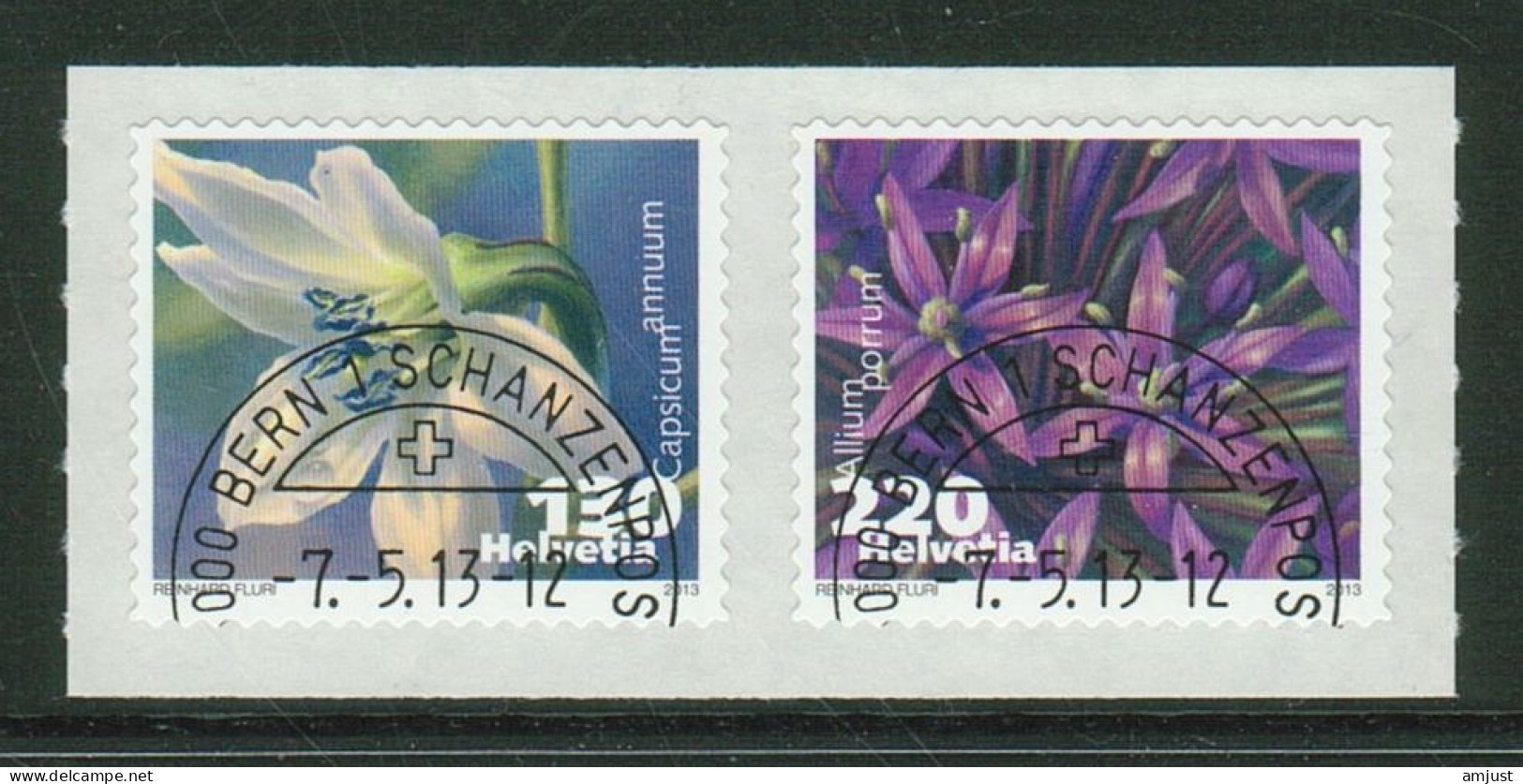 Suisse /Schweiz/Svizzera // 2013 // Légumes En Fleurs III  Oblitéré No. 1468-1469 - Gebruikt