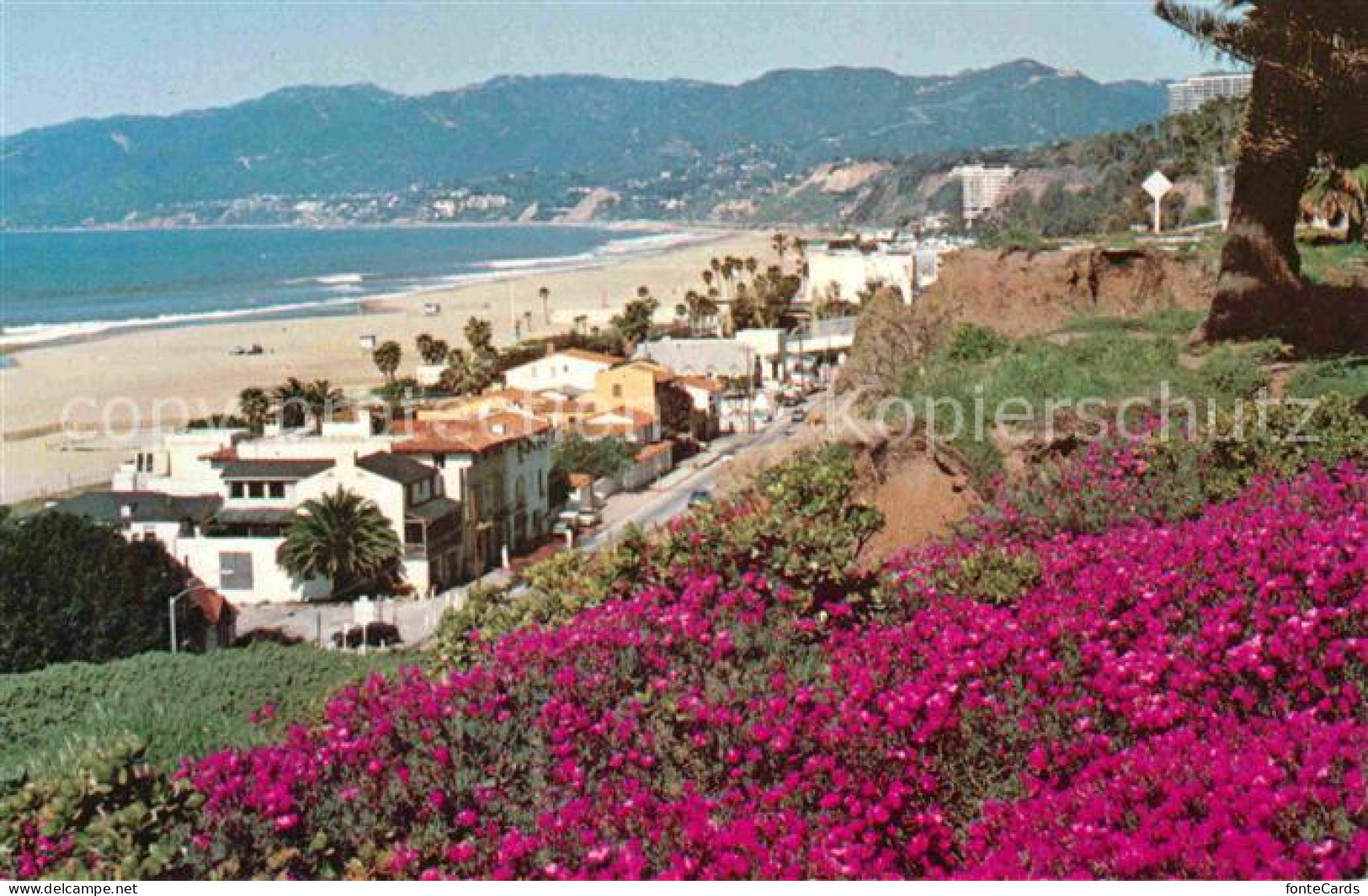 72747908 Santa_Monica Serenity By The Sea - Other & Unclassified