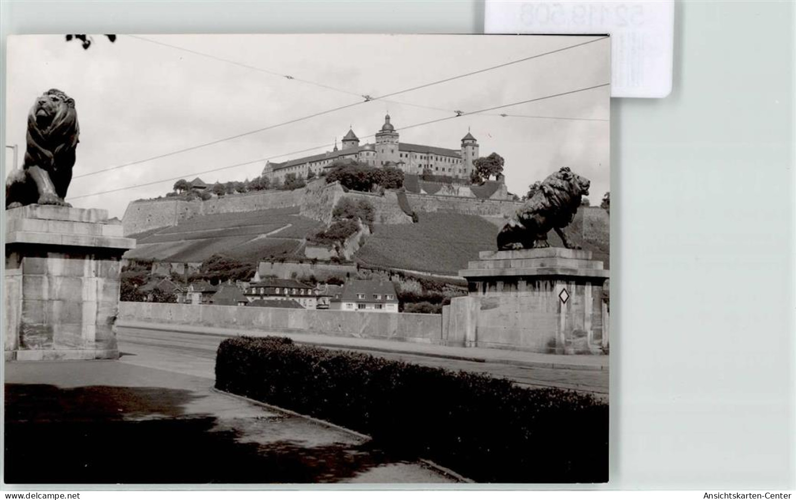 52119508 - Wuerzburg - Wuerzburg