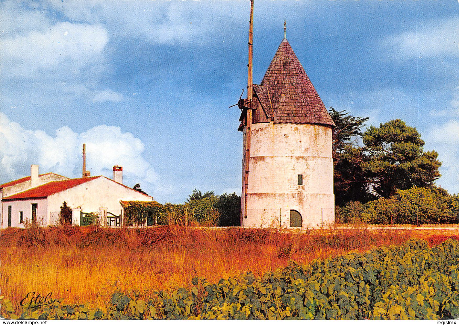 17-ILE D OLERON-MOULIN DE LA BREE-N°T551-D/0371 - Ile D'Oléron