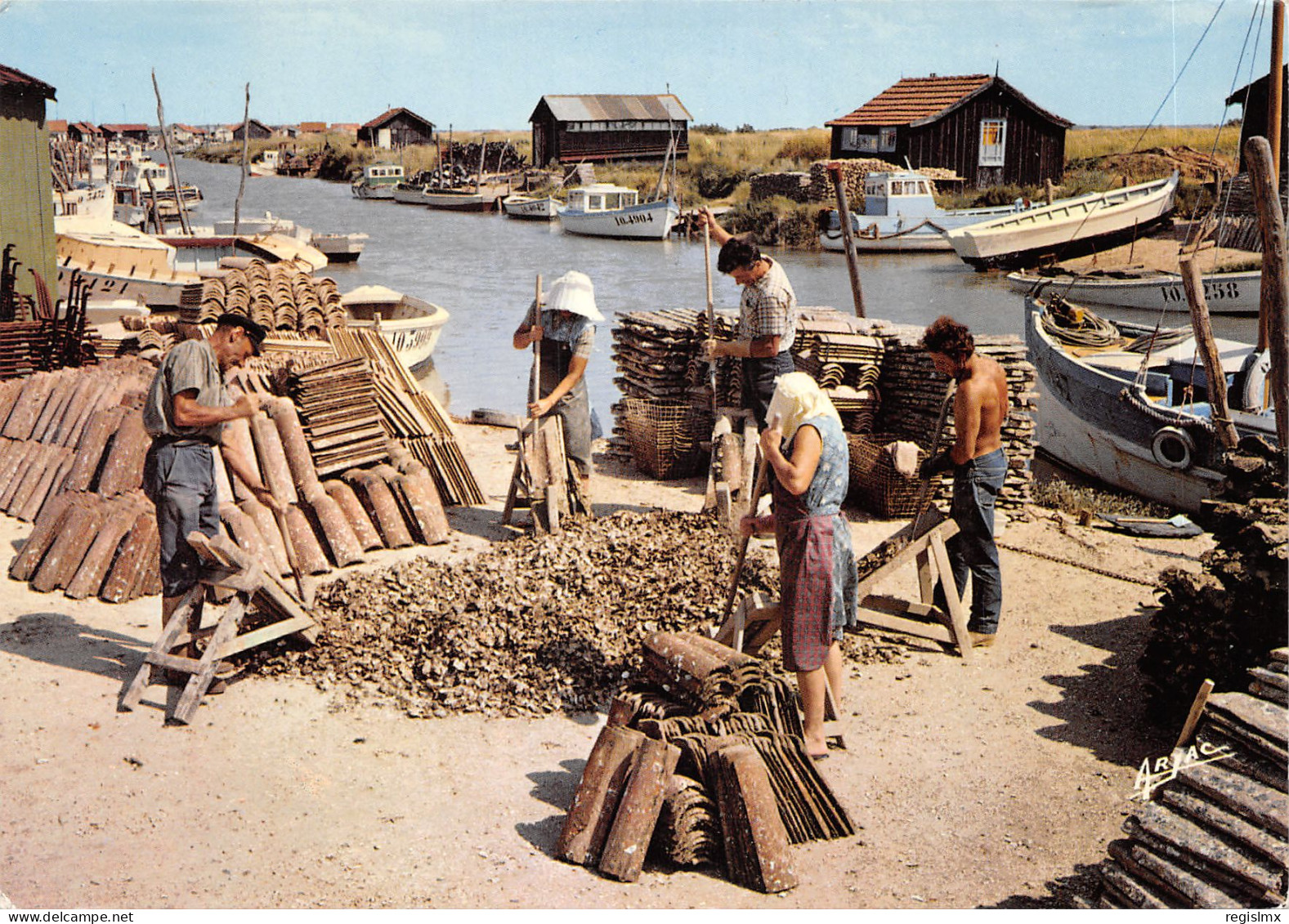 17-ILE D OLERON-DETROQUAGE DES HUITRES-N°T551-D/0253 - Ile D'Oléron