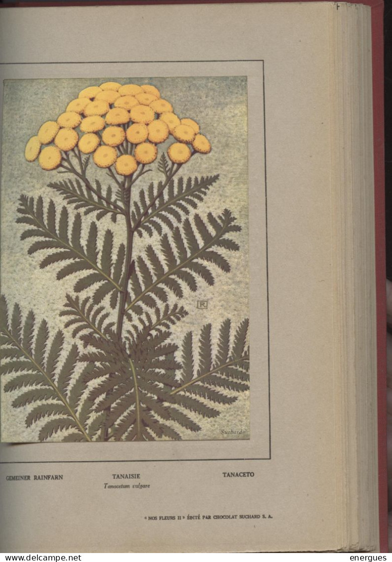 Mos Fleurs, 2 Tomes, Robert ,planches Aquarellées, Spinner, Texte,niestle, Dessins.édité Par Chocolat Suchard, 1934 - Natur