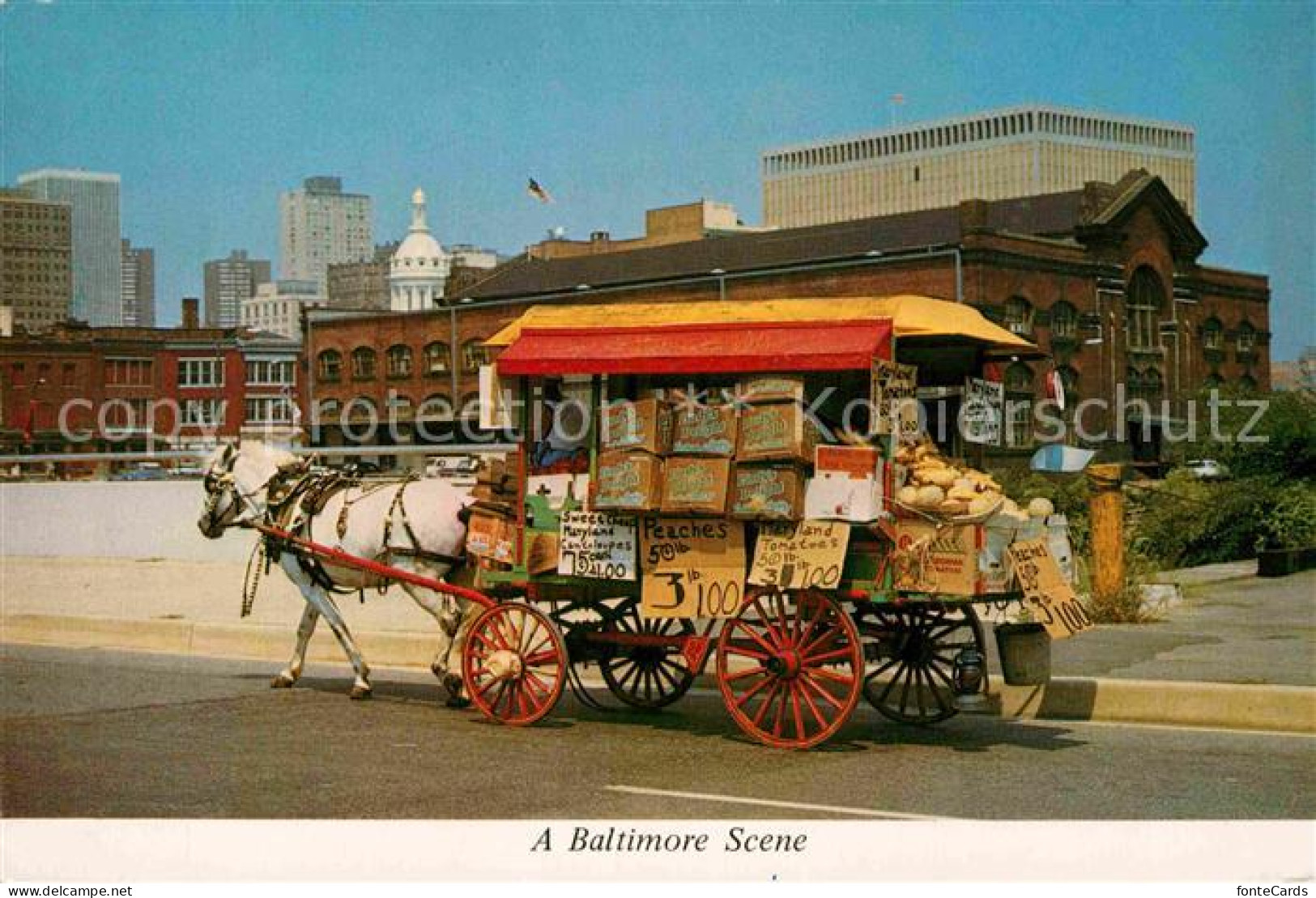 72738741 Baltimore_Maryland City Hall  - Otros & Sin Clasificación