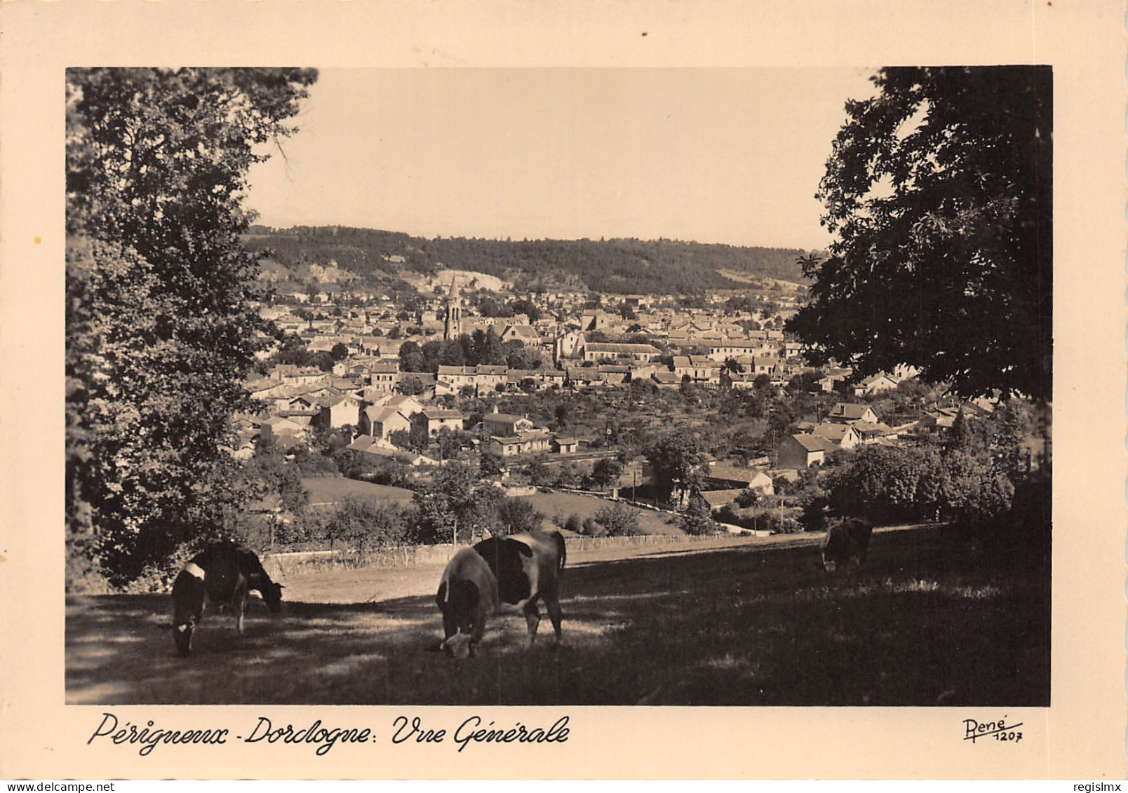 24-PERIGUEUX-N°T553-A/0105 - Périgueux