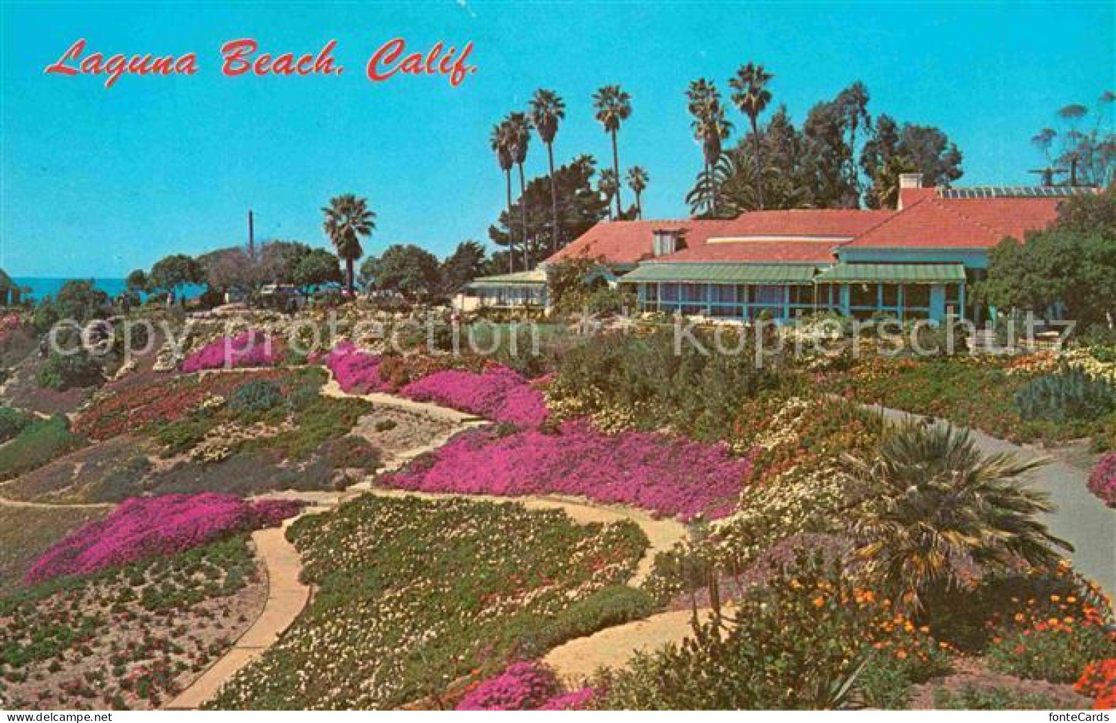 72735203 Laguna_Beach Sloping Banks Of Heisler Park - Other & Unclassified