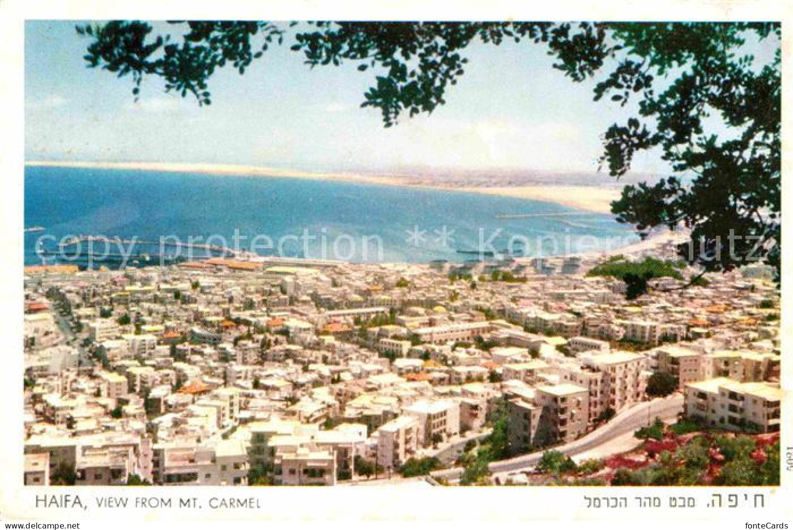 72725042 Haifa View From Mt Carmel Haifa - Israel