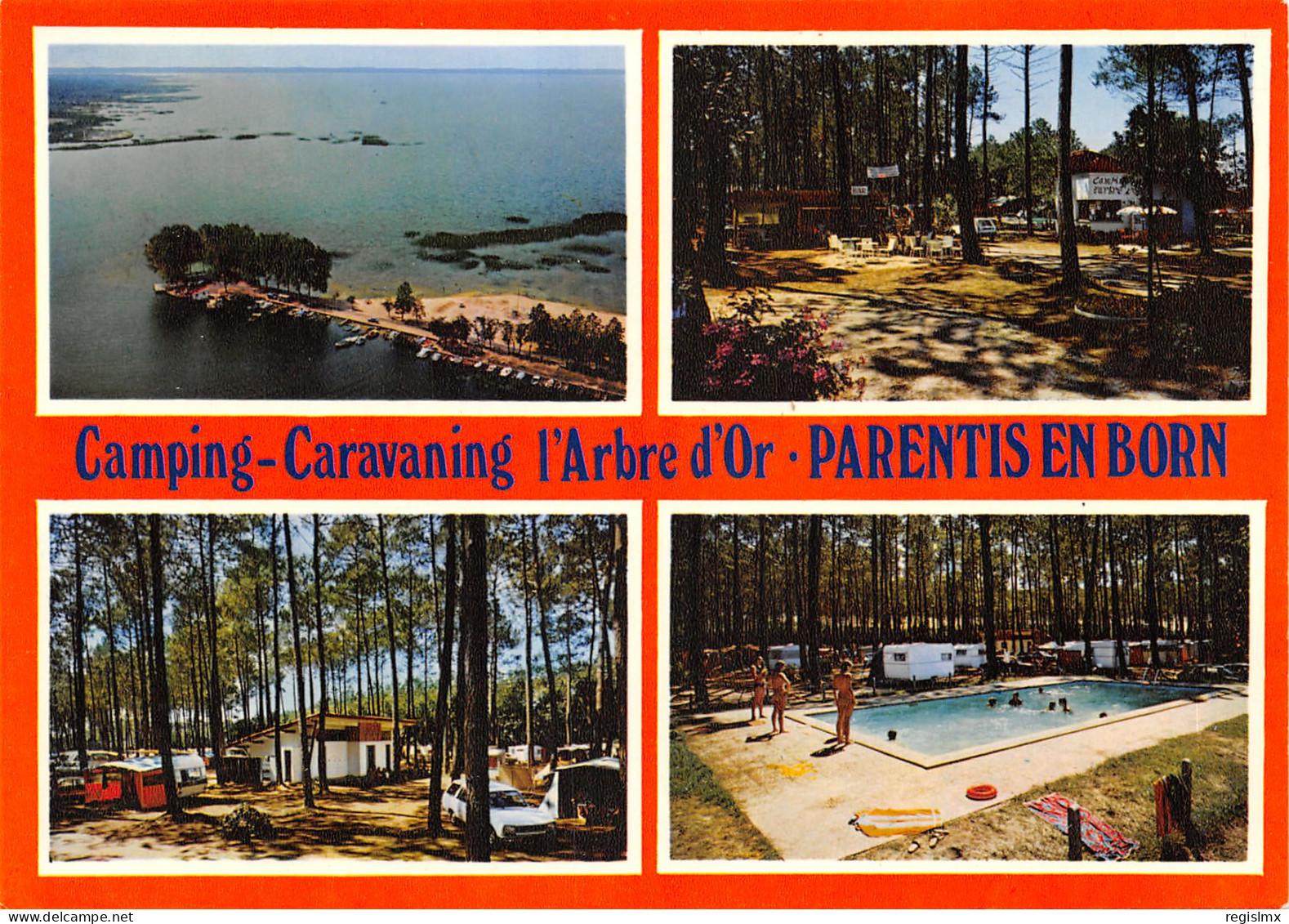 40-PARENTIS EN BORN-CAMPING-N°T556-A/0221 - Other & Unclassified